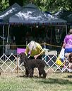 20140607-0464
