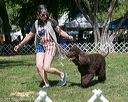 20140607-0502