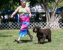 20140607-0537