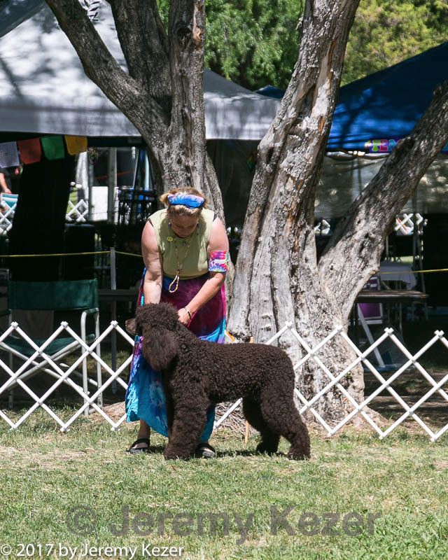 20140607-0461.jpg