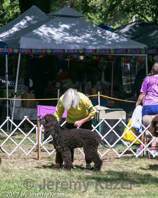 20140607-0464.jpg