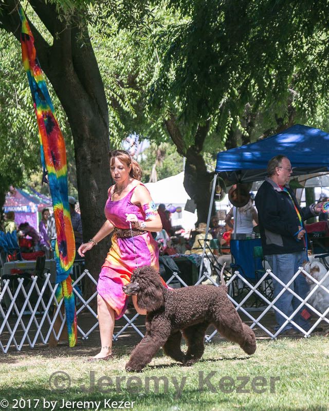 20140607-0483.jpg