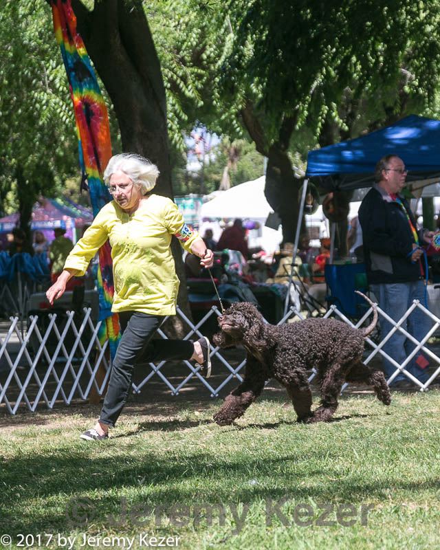 20140607-0486.jpg