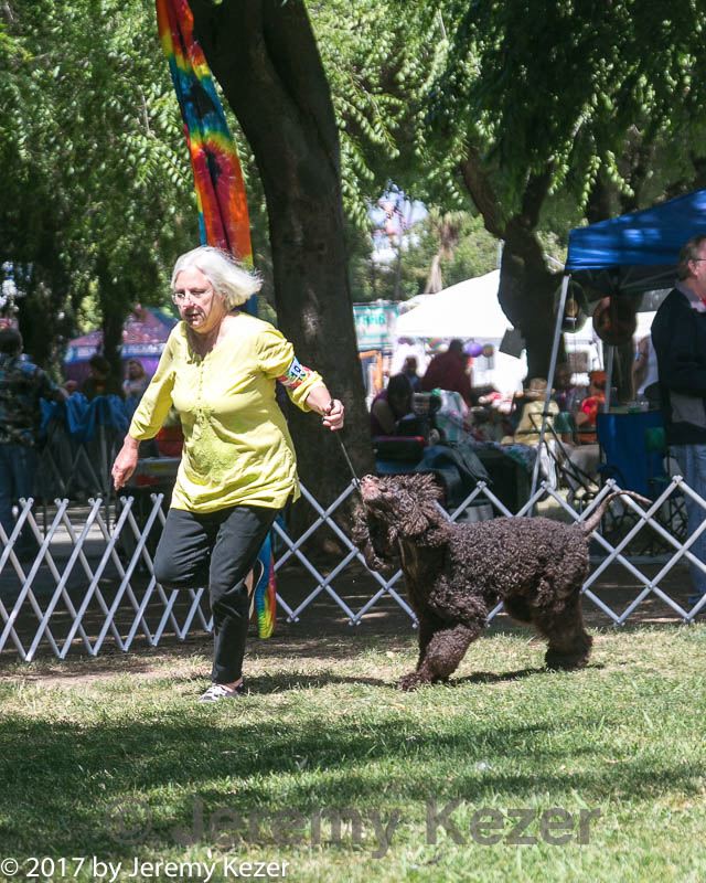 20140607-0487.jpg
