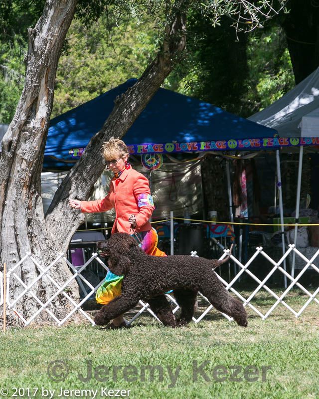 20140607-0522.jpg