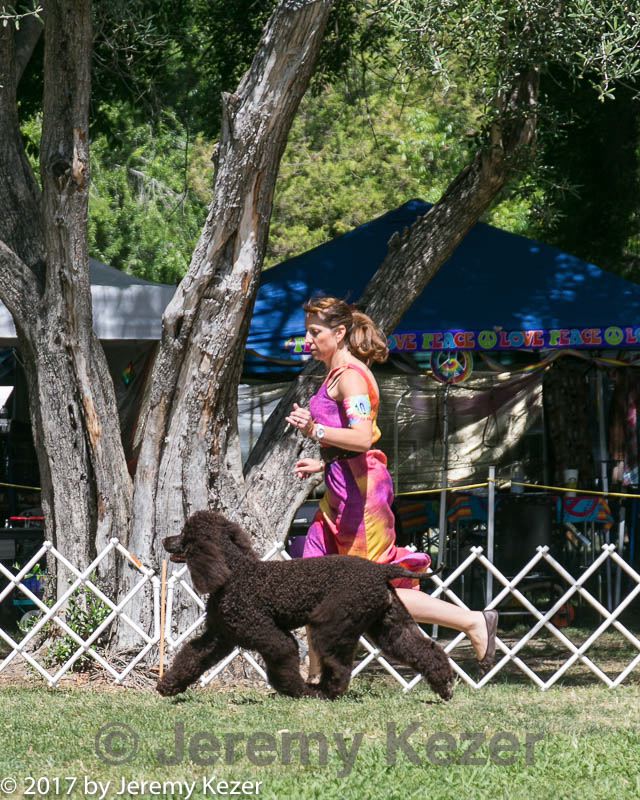 20140607-0560.jpg