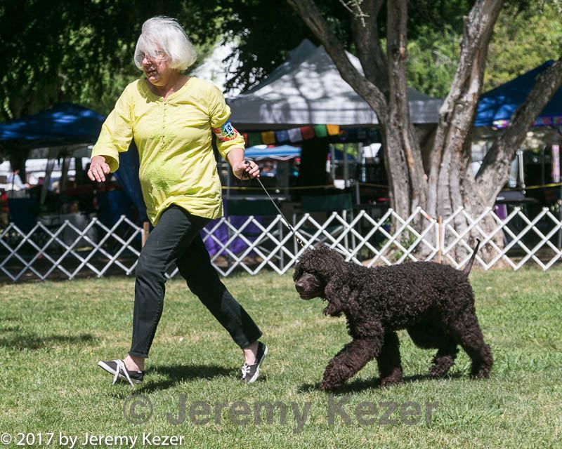 20140607-0575.jpg