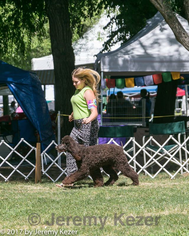 20140607-0414.jpg