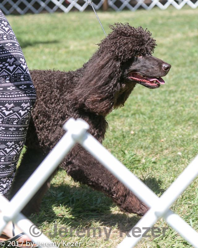 20140607-0432.jpg