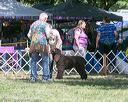 20140607-0352
