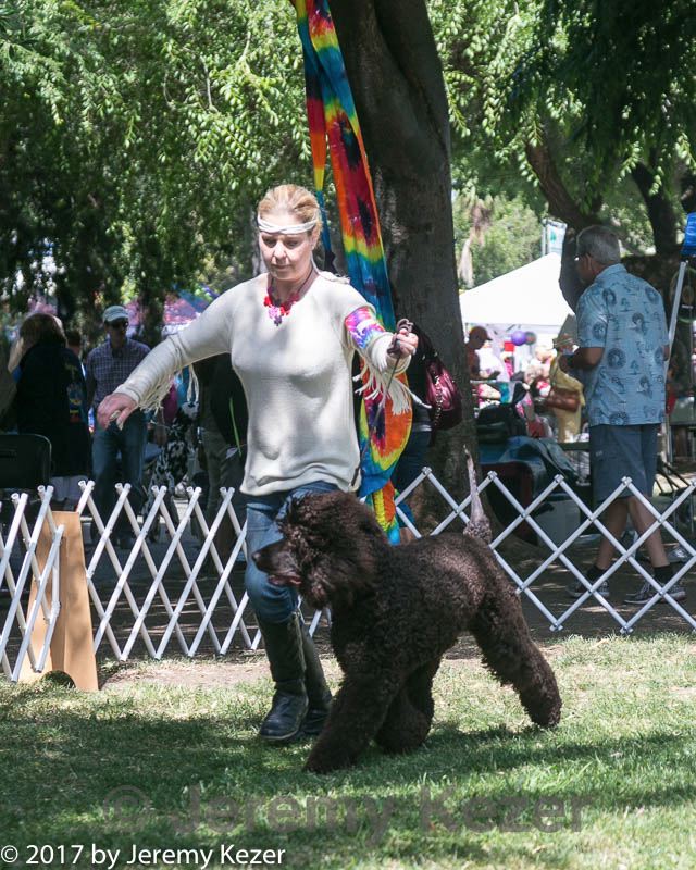 20140607-0356.jpg