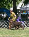 20140607-0377