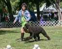 20140607-0385