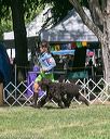 20140607-0389