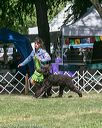 20140607-0391