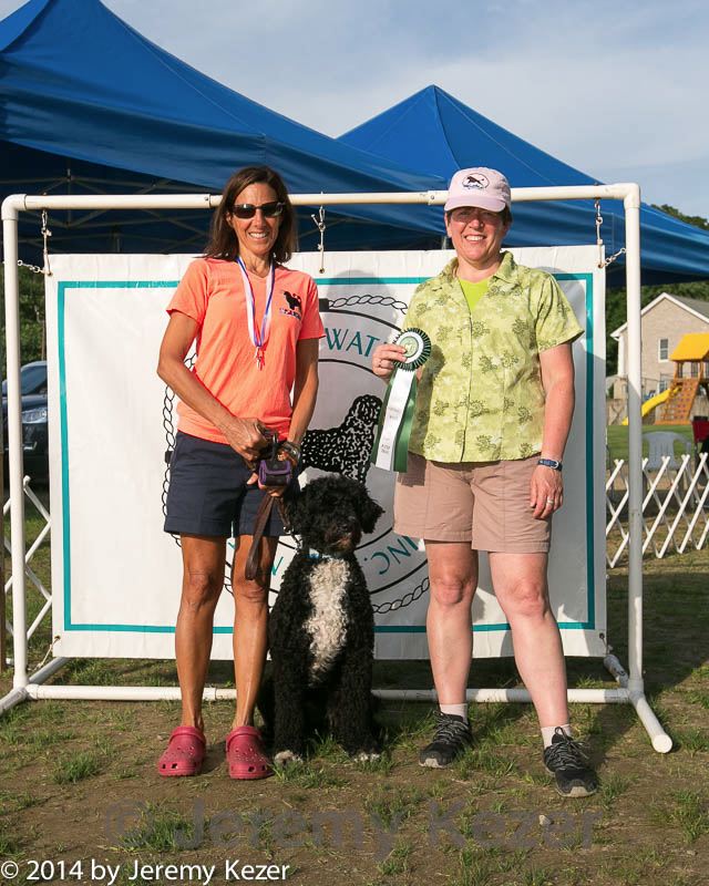 20140816-a-0017.jpg