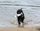 20140816-awd-0008