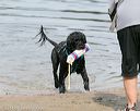 20140816-awd-0011