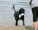 20140816-awd-0012