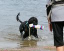 20140816-awd-0016