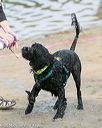 20140816-awd-0018