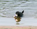 20140816-awd-0027
