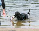 20140816-awd-0028