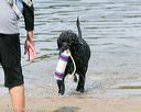 20140816-awd-0031