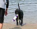 20140816-awd-0034