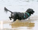 20140816-awd-0049