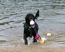 20140816-awd-0059