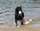 20140816-awd-0060