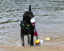 20140816-awd-0063