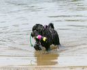 20140816-awd-0080