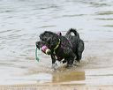 20140816-awd-0082