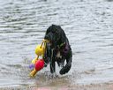 20140816-awd-0139