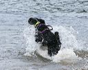 20140816-awd-0157