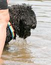 20140816-awd-0177
