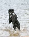 20140816-awd-0184