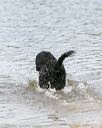 20140816-awd-0189