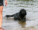 20140816-awd-0238