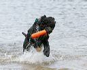 20140816-awd-0253