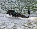 20140816-awd-0264