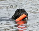 20140816-awd-0267