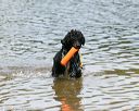 20140816-awd-0268