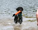 20140816-awd-0272