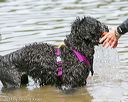 20140816-awd-0330