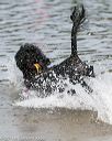 20140816-awd-0374