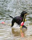 20140816-awd-0393
