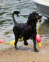 20140816-awd-0399
